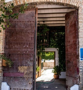 Hacienda Minerva 11